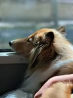 Iun2jxzvll77fpptwhqu