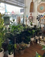 Iwiv3ynnypmru3dabu8c