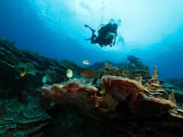 Iwwksonwsjqmkqb7hhck