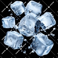Ice Processing and distribution business with Freehold, & extensive Plant & Equipment included