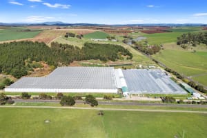 Hydroponic Vegetable Crop Farm - Land, Buildings & Machinery