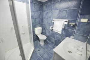 Highly Successful Educational and Stationery Supply