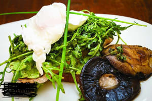 J1ble6drxurzrxdtcfis