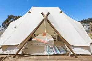 Large Scale Freehold Tourism Asset - Glamping - Large Land Holding