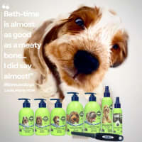 J238cum5chjrwsxbkdyy