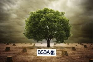 J3yf1knb1zsfsdfiuozs