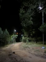 Established Signage & Solar Lighting - Central West NSW Opportunity