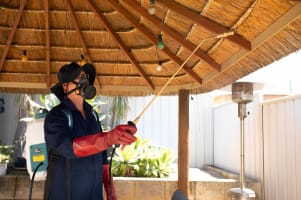 SURE Pest Control Franchises – Perth, WA