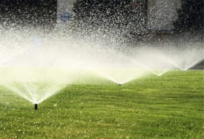 Thriving Irrigation and Pumps Business - Central Queensland!