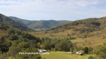 Sustainable Hazelnut & Agritourism Business Opportunity