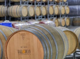 Huge Upside Well Established Business and Property - 2890CF