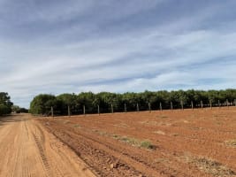 Horticulture Business & 58 Acre Asset | $1.5M+ Capability | Walk-In Walk-Out