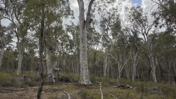 Dark Sky Hill - Turnkey Astro-Tourism Property with Geographical Monopoly