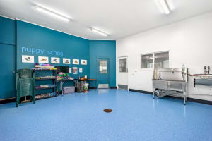 Longstanding Small Animal Veterinary Practice with Loyal Clientele & Modern Facilities
