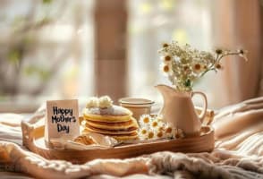 National Giftware Wholesaler with B2B Online Ordering Platform (Our Ref: V2106)