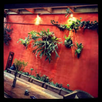 Chattel Sale - Beautiful Restaurant in Carlisle St - St Kilda