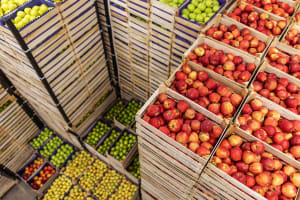 Premium Fresh Produce Wholesale & Retail – Two Distinct Businesses for Sale