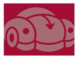 Brisbane Car Rental Business for Sale with Mechancial Workshop