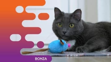 Joa9yz8s2mgfhni86ejc