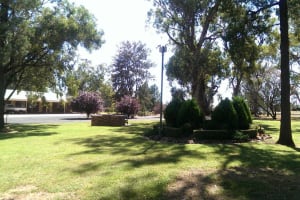 Cooee Motel Gilgandra – Freehold Going Concern

17-room motel | 2.1 hectares | Established income...