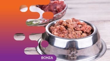 Jpktc9yqemexnyyeggzs