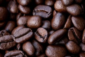 Cafe Opportunity in a Fantastic Location
