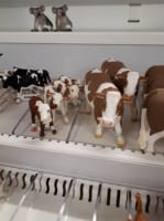 Destination Educational Toy Retailer | Orange NSW