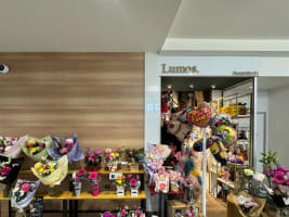 Established Florist with Loyal Customers in Busy Hobart CBD