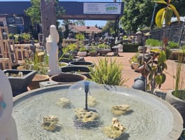 Specialist Retail Garden Centre – Clearview, SA