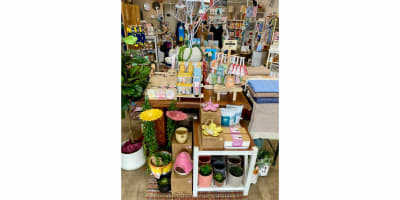 SAS DESIGNS & CONCEPTS FOR SALE - : POA +SAV