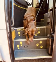 Juaiqhtdtenpjngvfsol