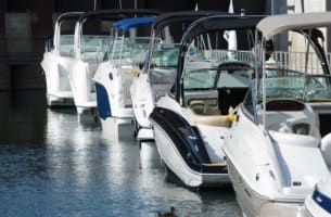 Premier Marine Business in the Whitsundays