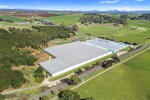 Hydroponic Vegetable Crop Farm - Land, Buildings & Machinery
