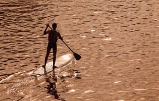 KAYAK AND STAND UP PADDLE BOARD HIRE BUSINESS - BAYVIEW / PITTWATER