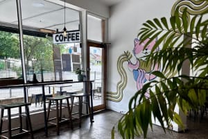 Iconic Inner North East Cafe taking $25,000 p/w (Our Ref: V2114)