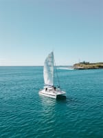 Multi-Brand Marine Tourism Business | Sunshine Coast | $1.995M WIWO