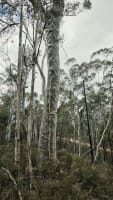Dark Sky Hill - Turnkey Astro-Tourism Property with Geographical Monopoly