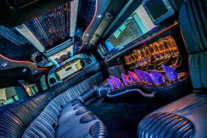 SUCCESSFUL STRETCH HUMMER HIRE (limousine) BUSINESS - CAIRNS/PORT DOUGLAS REGION