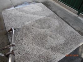 Established Carpet Cleaning Business with 37+ Year History | Loyal Client Base