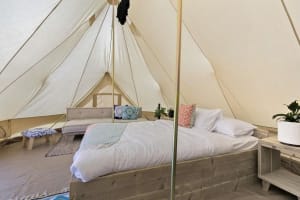 Large Scale Freehold Tourism Asset - Glamping - Large Land Holding