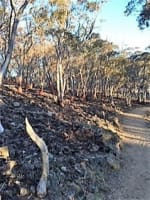 ICONIC LOG CABIN TEA HOUSE RESTAURANT WITH TOP VIEWS UNDER MT GLADSTONE LOOKOUT
