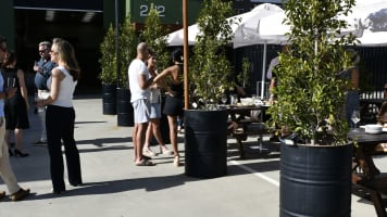 Motivated Vendor - Modern Brewery, Distillery & Tap House in Prime Mornington Peninsula Location