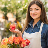 Profitable QLD Funded Floristry RTO. (REF: 1515)