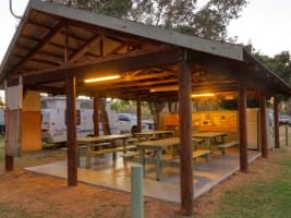 Kj1alhqc0d43nordgrip