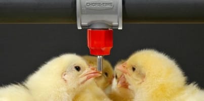 Thriving Agritech Business with Global Reach and Proven Success