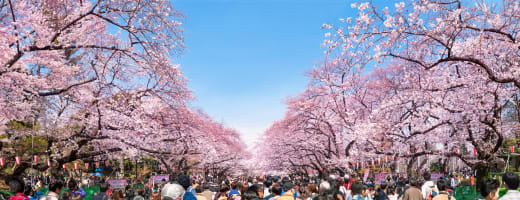 Km058epmurpplbkfljg7