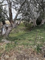 Freehold LPO, Liquor General Store & 6 BR Residence