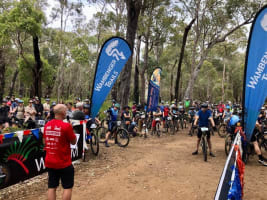 Leading Regional Bike Store - Profitable & Established