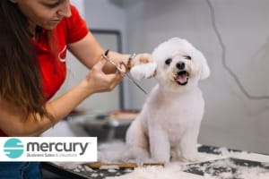 Long-Established Dog Grooming Biz near Balwyn for Sale