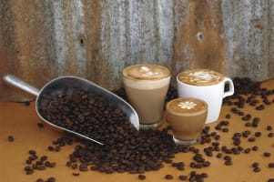 Coffee Works - Mareeba, Far North Queensland